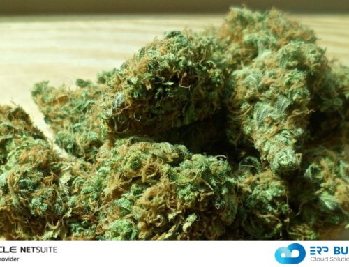 NetSuite ERP for the Cannabis industry.