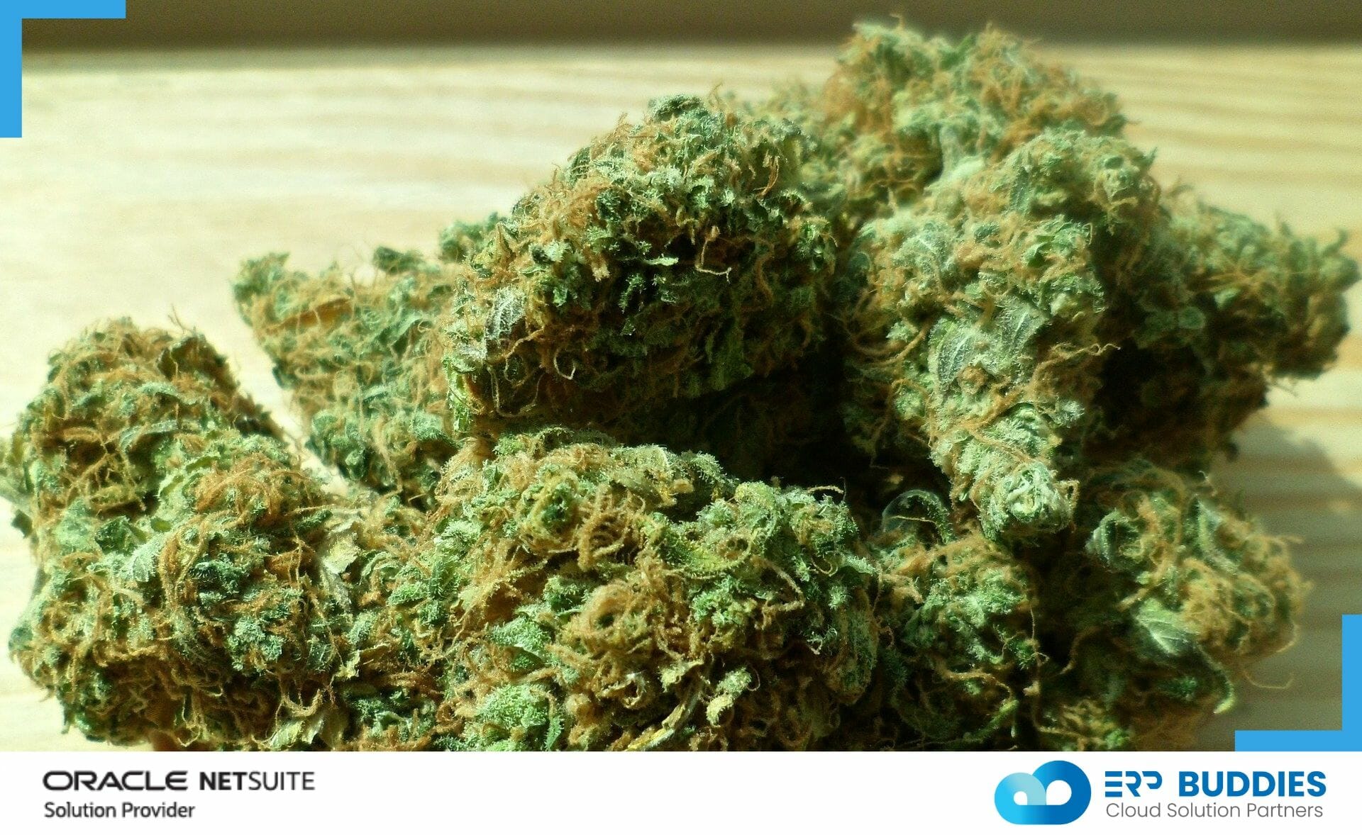 NetSuite ERNetSuite ERP for the Cannabis industry. P for Cannabis
