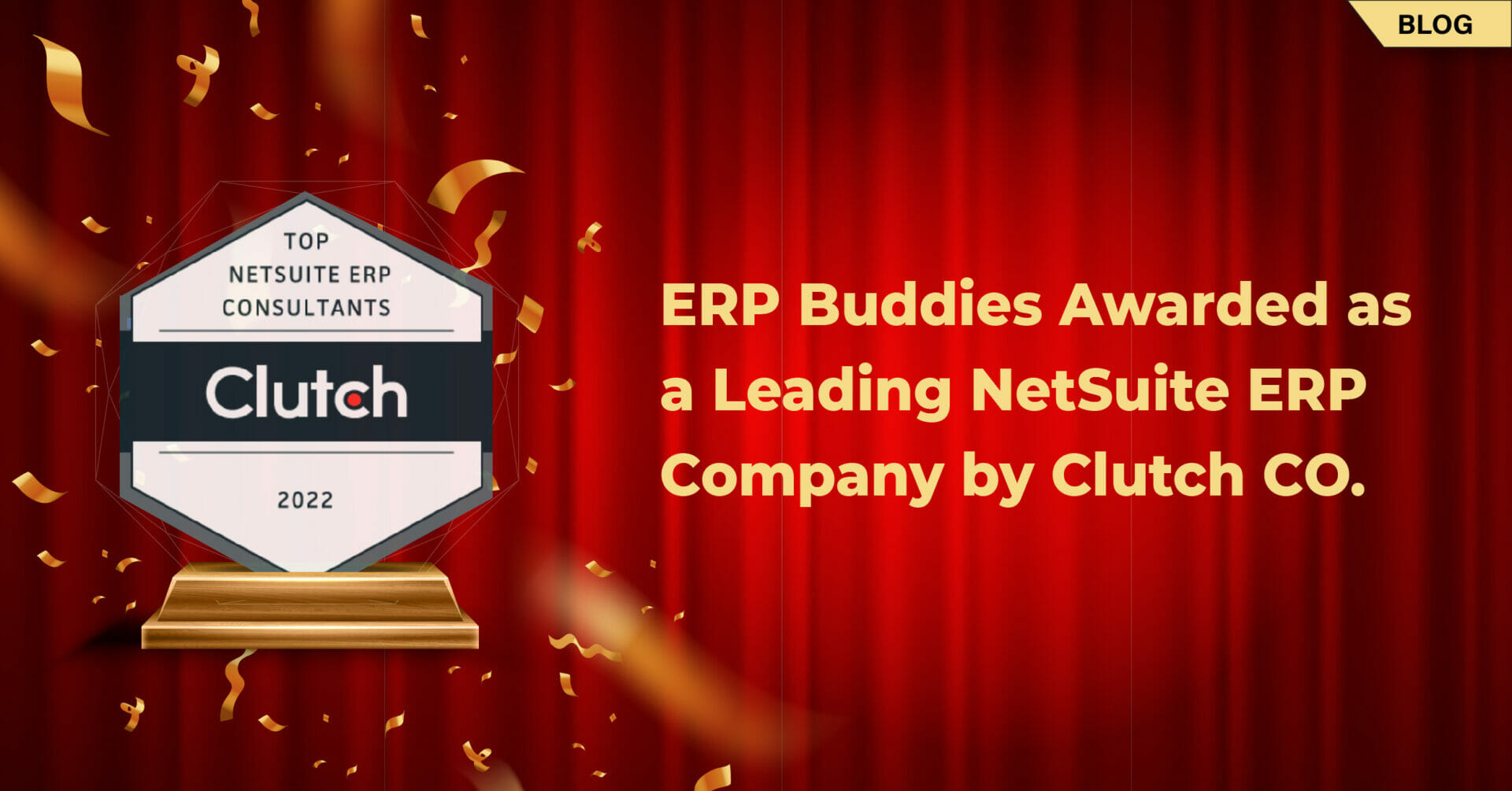 Leading NetSuite ERP Company