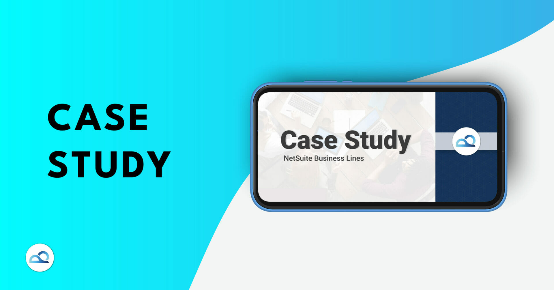 NetSuite 1099 Case Study