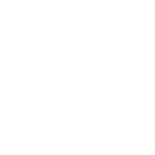 Netsuite Expert